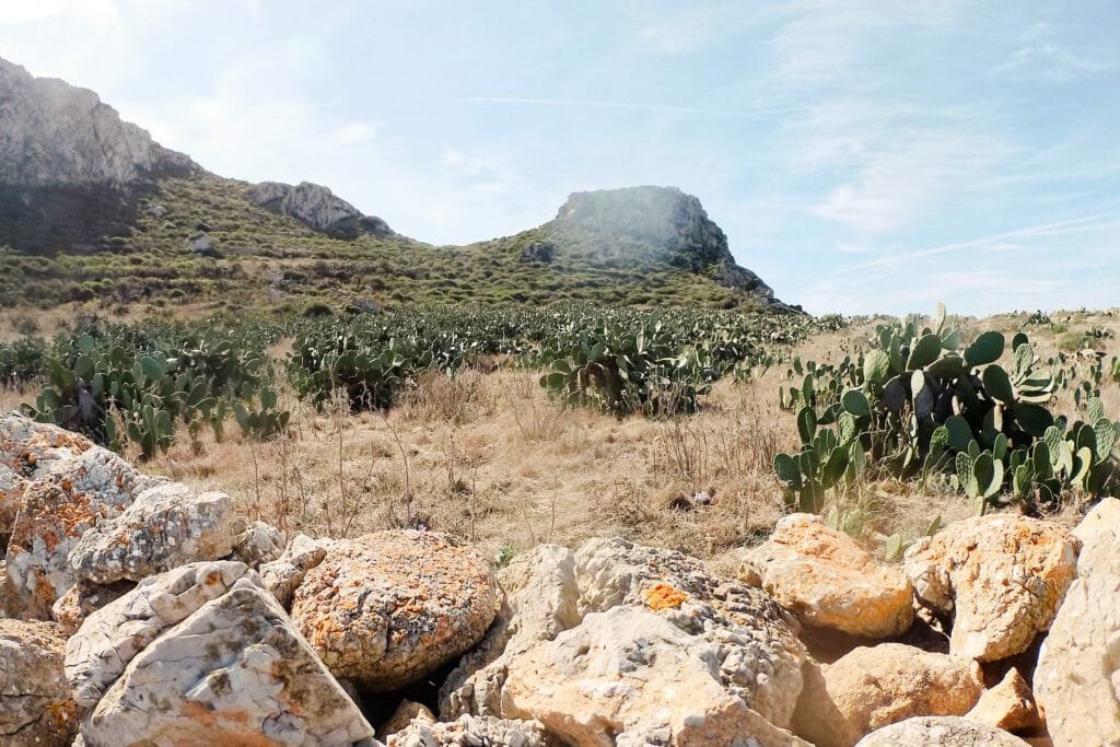 favignana
